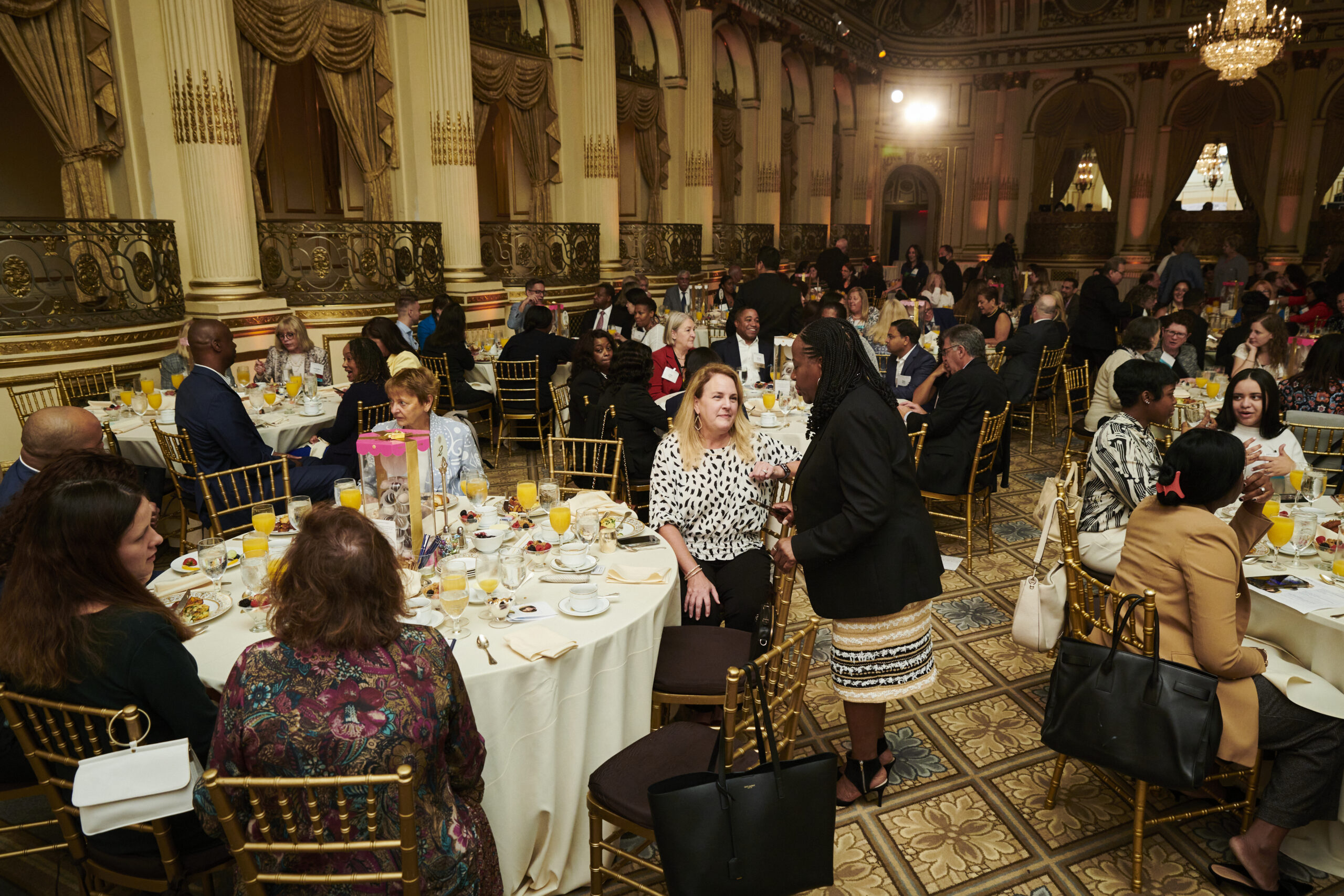 A group of diverse businesswomen networking