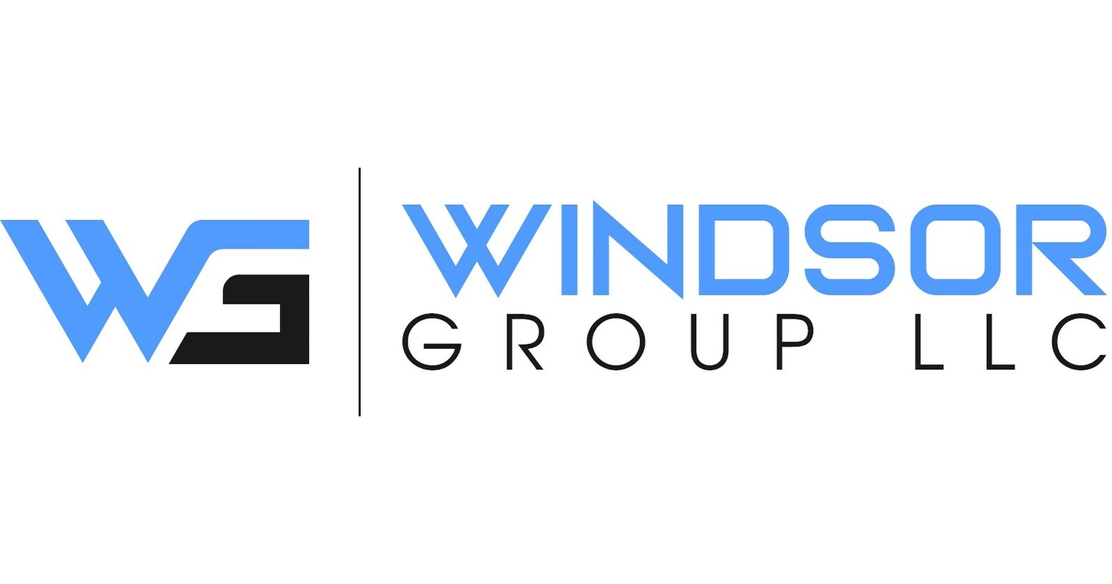 Windsor Group LLC logo